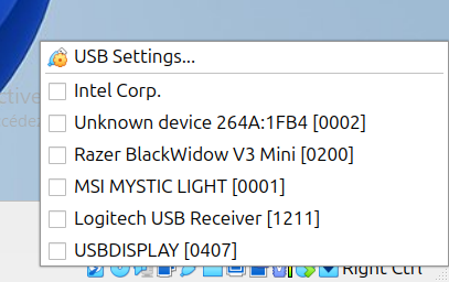 Disabling the display's USB device in VirtualBox